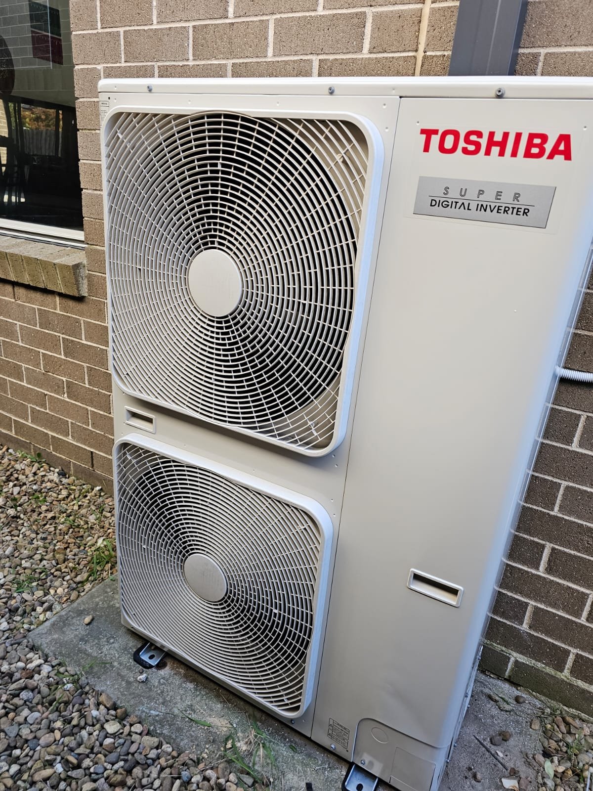 WhatsApp Image 2025 08 08 at 7.30.49 AM 3 1