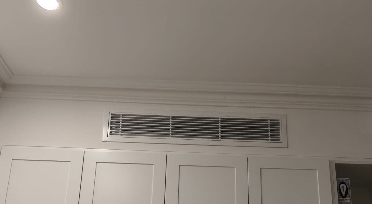 1000063808 e1774861041526