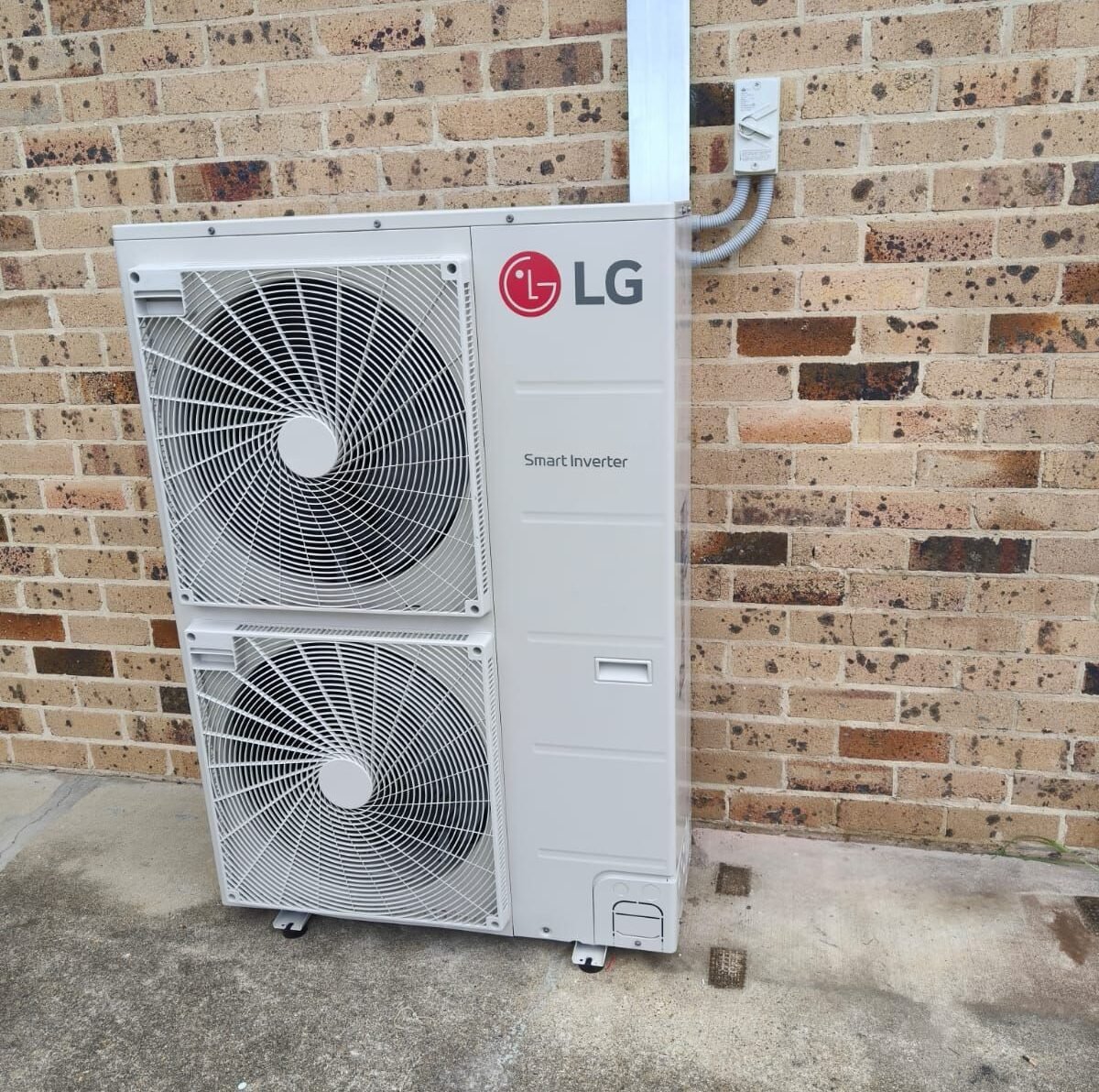 1000064024 e1774581072580